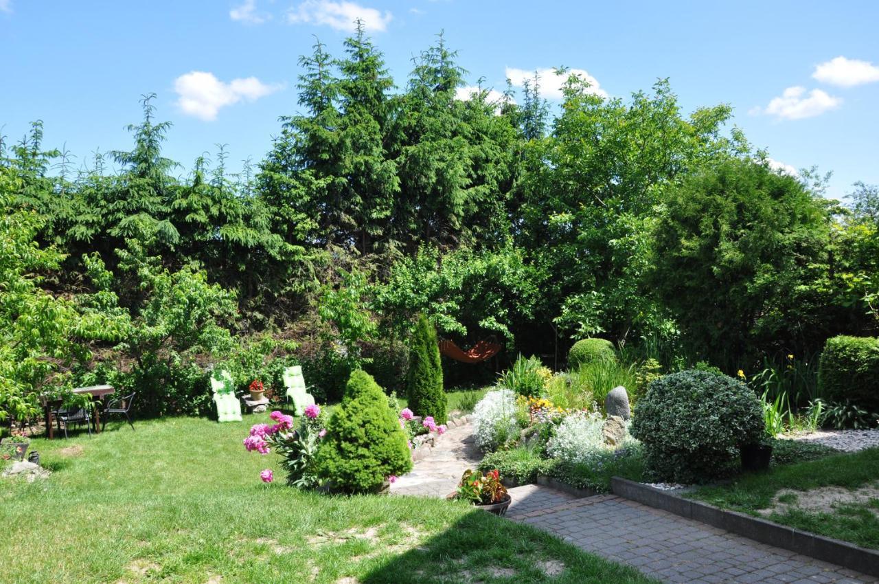 Oaza U Tadeusza Augustów Exterior foto