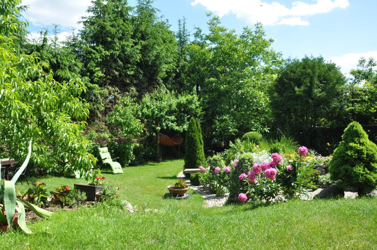 Oaza U Tadeusza Augustów Exterior foto